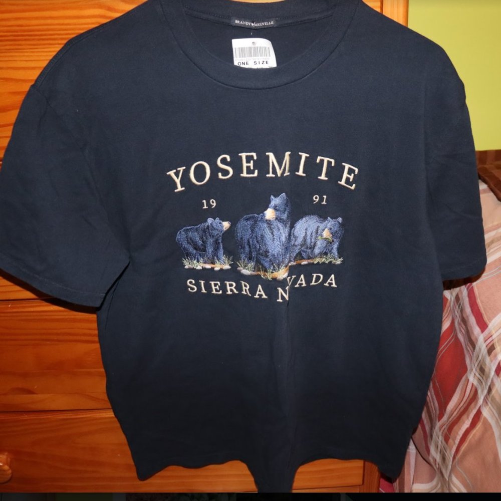 Brandy Melville Yosemite Graphic tee